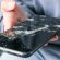 Person holding a smartphone, considering whether to add a device protect